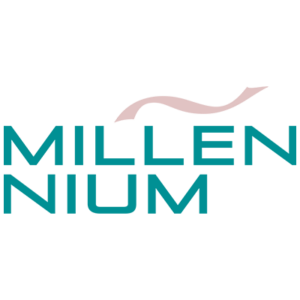Millennium Construction